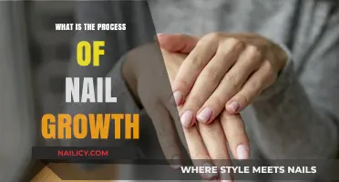 Understanding the Science Behind Nail Growth: A Comprehensive Guide
