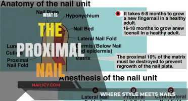 Understanding the Proximal Nail: Structure, Function, and Common Issues
