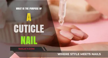 Understanding the Essential Role of Cuticles in Nail Health