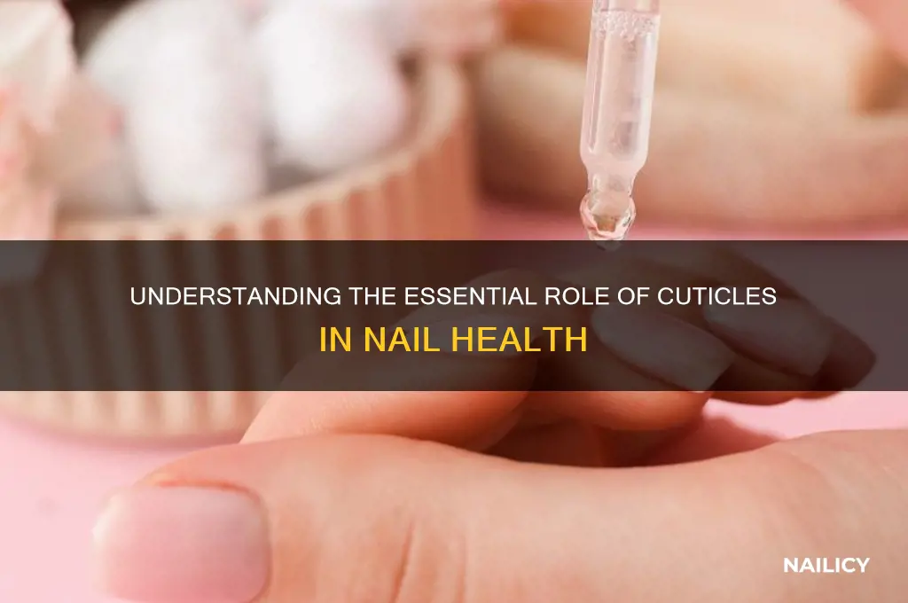 what is the purpose of a cuticle nail