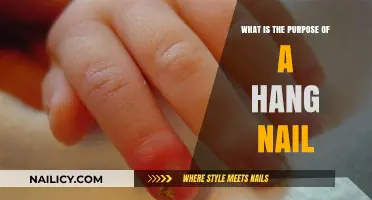 Understanding Hang Nails: Causes, Purpose, and Effective Prevention Tips