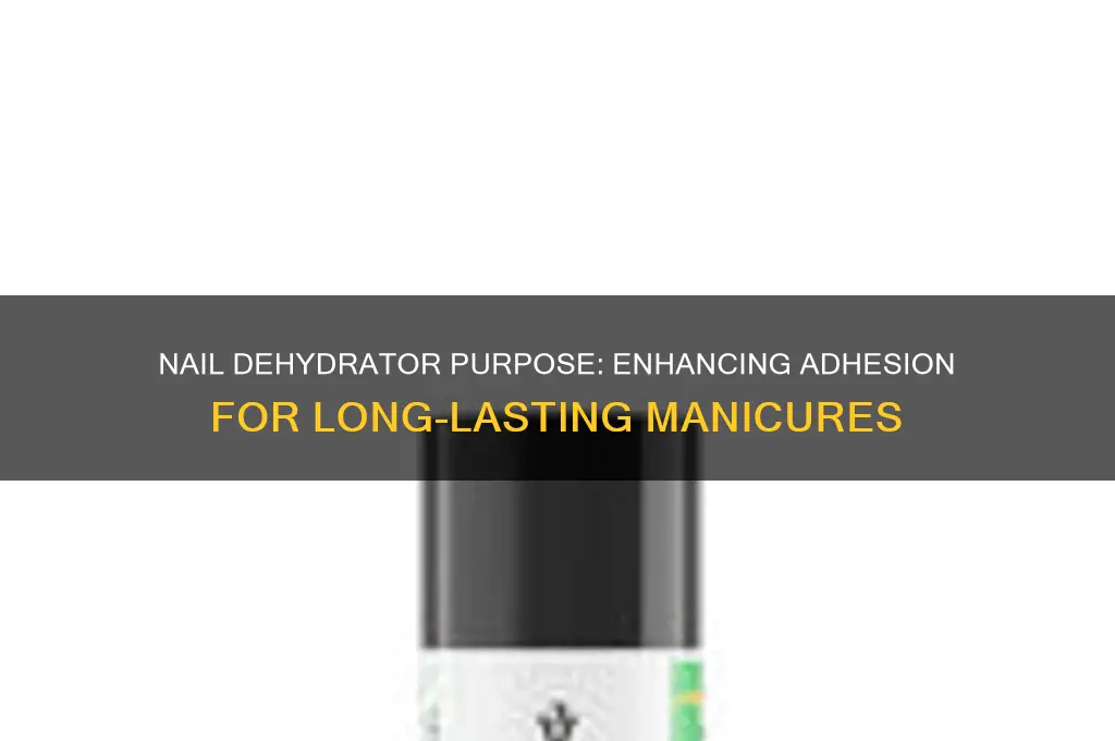 what is the purpose of a nail dehydrator