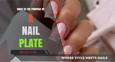 Understanding the Purpose and Function of the Nail Plate