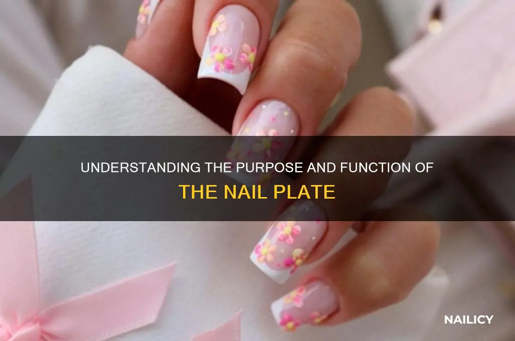 what is the purpose of a nail plate
