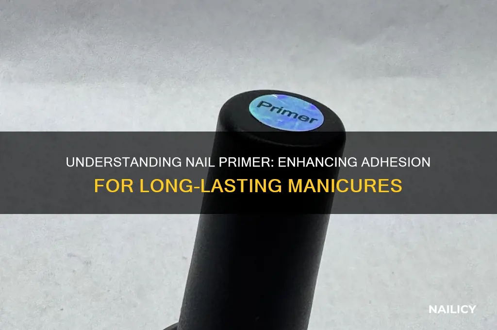 what is the purpose of a nail primer