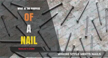 Understanding the Essential Purpose and Function of Nails in Construction