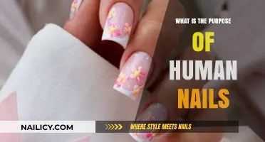Understanding the Surprising Purpose and Function of Human Nails