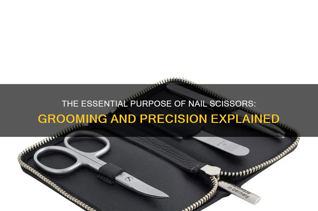 what is the purpose of nail scissors