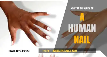 Understanding the Quick: The Sensitive Core of Human Nails Explained