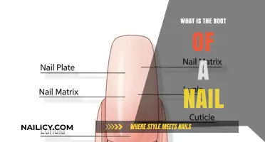 Understanding the Root of a Nail: Anatomy, Function, and Care Tips
