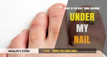 The Mystery of Nail Roots: What's Under Your Nails?