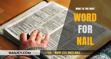 Uncovering the Ancient Root Word for 'Nail': A Linguistic Journey