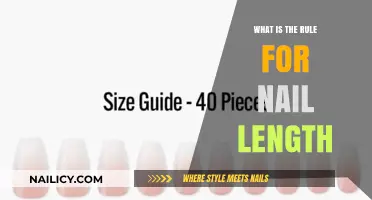 Nail Length Guidelines: Essential Rules for Professional and Practical Grooming