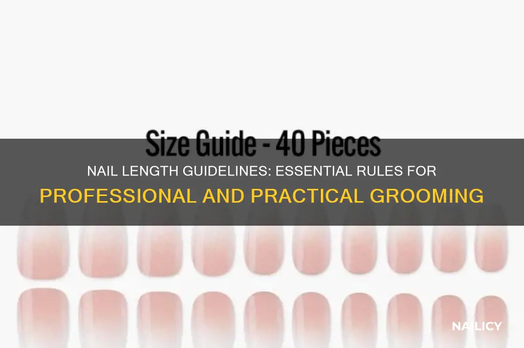 what is the rule for nail length