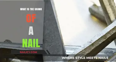 Understanding the Shank: The Essential Part of Every Nail Explained