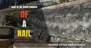 Understanding Nail Shear Strength: Key Factors and Applications