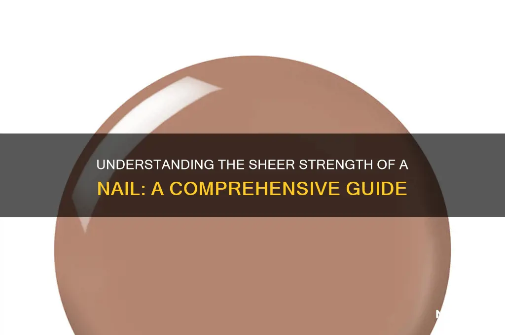 what is the sheer strenght of a nail