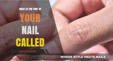 Understanding Nail Anatomy: What’s the Side of Your Nail Called?