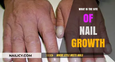 Understanding Nail Growth: Where and How Nails Naturally Develop