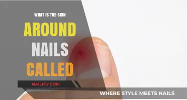 Understanding the Skin Around Your Nails: Meet the Nail Folds