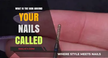 Understanding the Skin Around Your Nails: The Cuticle's Role and Care