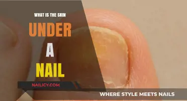 Understanding the Skin Under Your Nails: Structure, Function, and Care