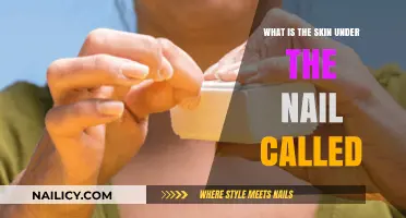 Understanding the Skin Under Your Nails: Meet the Hyponychium