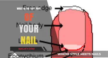Understanding the Soft Part of Your Nail: The Nail Bed Explained