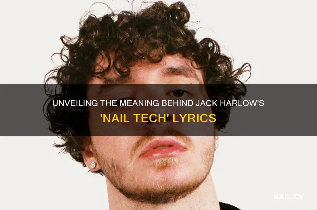 what is the song nail tech about