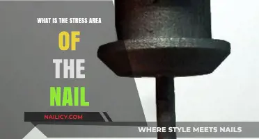 Understanding the Nail's Stress Area: Key Insights and Care Tips
