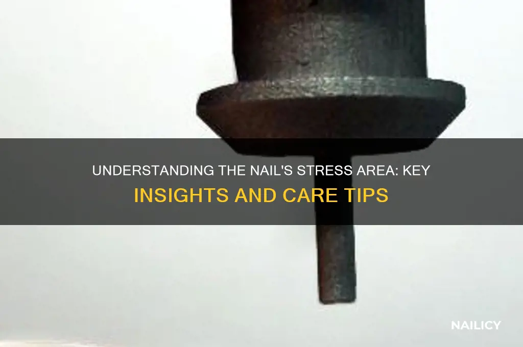 what is the stress area of the nail
