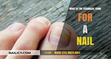 Understanding the Technical Term for a Nail: A Comprehensive Guide