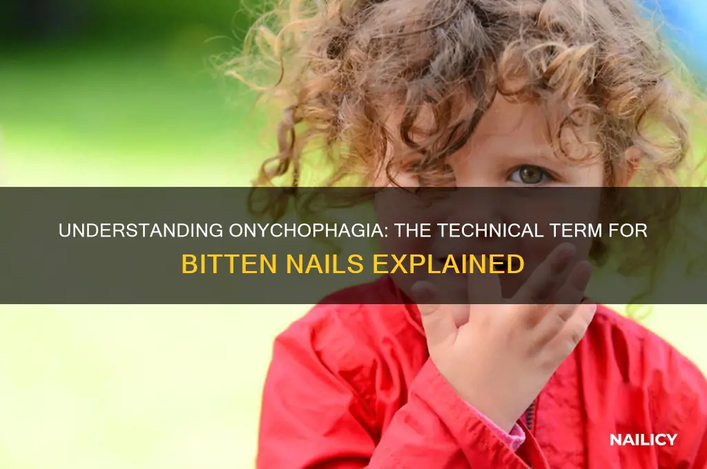 what is the technical term for bitten nails