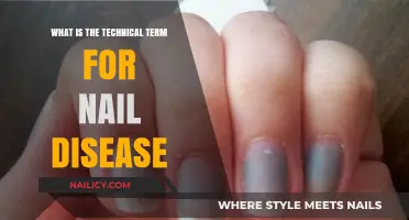Understanding Nail Disorders: The Technical Term for Nail Disease Explained