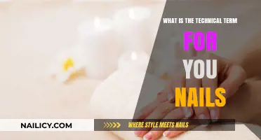 Understanding the Science: The Technical Term for Your Nails Explained