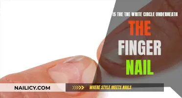 Unraveling the Mystery: What's Beneath Your Fingernail?