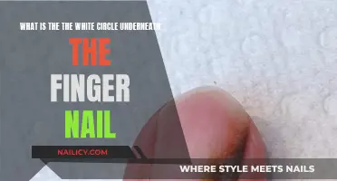 The Half-Moon Shape Under Your Fingernails: What Is It?