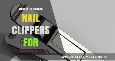 The Hidden Purpose of the Small Lever in Nail Clippers