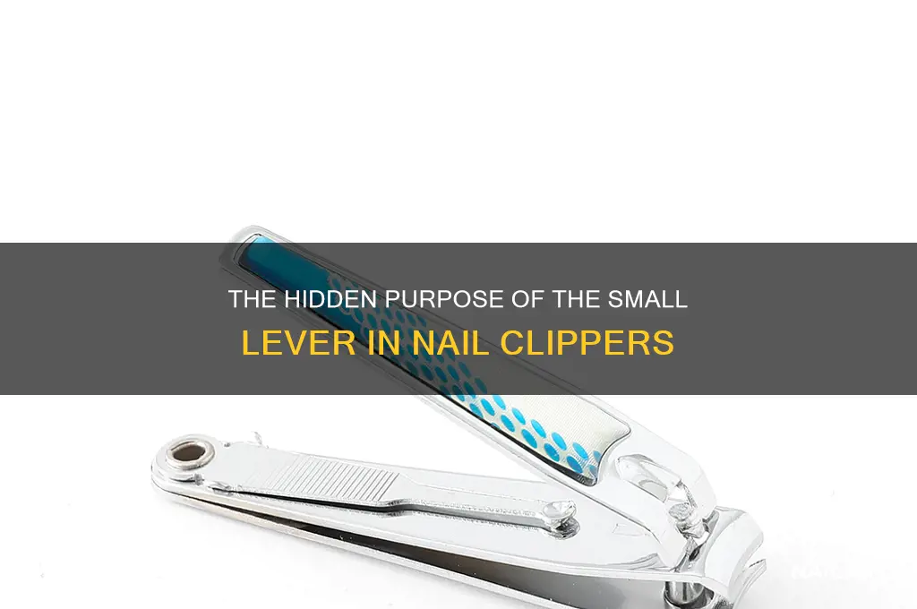 what is the thing in nail clippers for