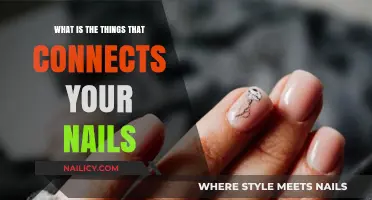 Unveiling the Hidden Bond: What Connects Your Nails Together