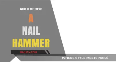 Understanding the Nail Hammer's Top: Function and Design Explained