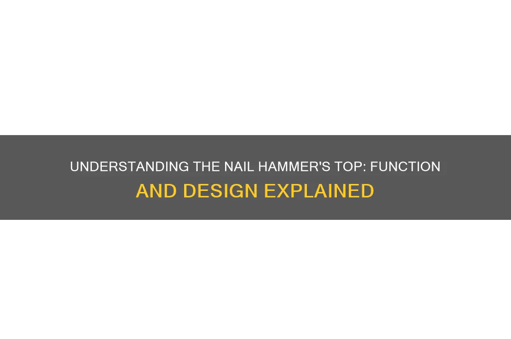 what is the top of a nail hammer