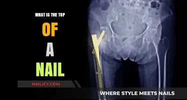Understanding the Nail Head: Anatomy and Function of the Top