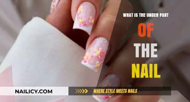 Understanding the Nail's Hyponychium: The Under Part Explained