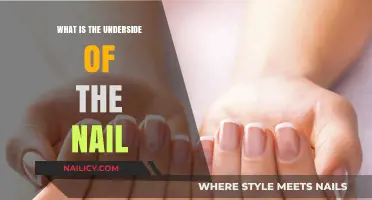 Understanding the Underside of the Nail: Structure, Function, and Health