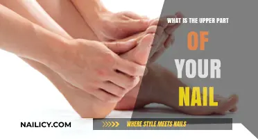 Understanding the Nail's Upper Part: Structure, Function, and Care Tips