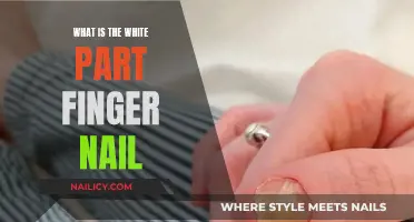 The White Part of Fingernails: What Does It Mean?