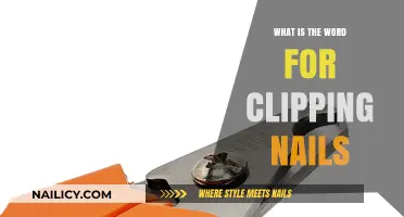 Trimming Toenails and Fingernails: The Proper Term for Clipping Nails