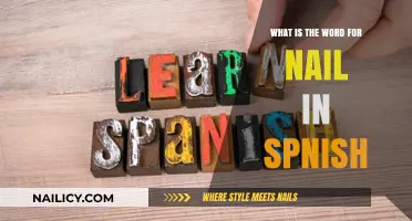 Discover the Spanish Word for Nail: A Quick Language Lesson