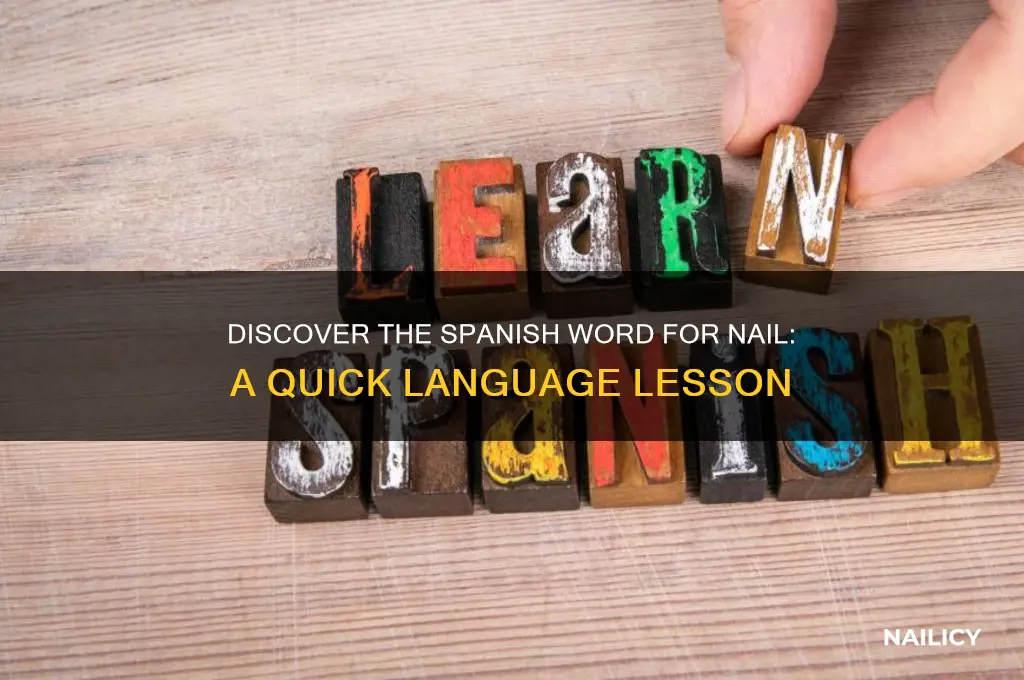 what is the word for nail in spnish